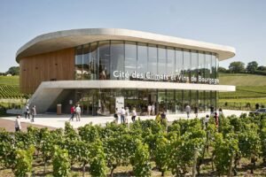 Cité des climats et vins de Bourgogne